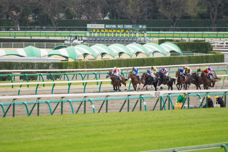 2026年2月15日（日）注目馬☆推薦馬＆参考買い目