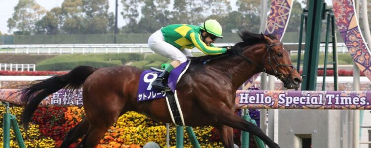 高松宮記念を終えて