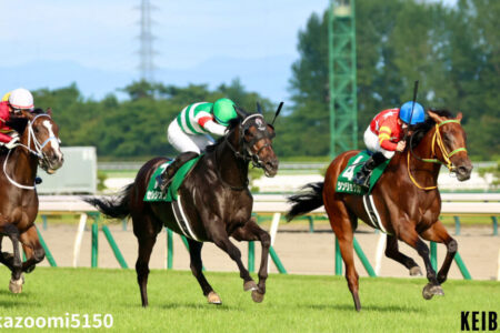 2026年5月16日（土）注目馬☆推薦馬＆参考買い目