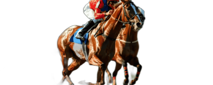 2026年4月4日（土）注目馬☆推薦馬＆参考買い目
