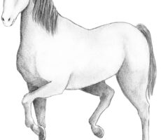 2150035-scaled