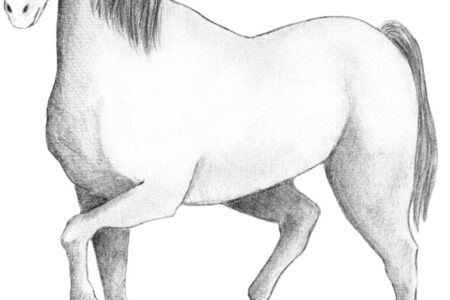 まだ間に合うセールと有馬記念は・・・