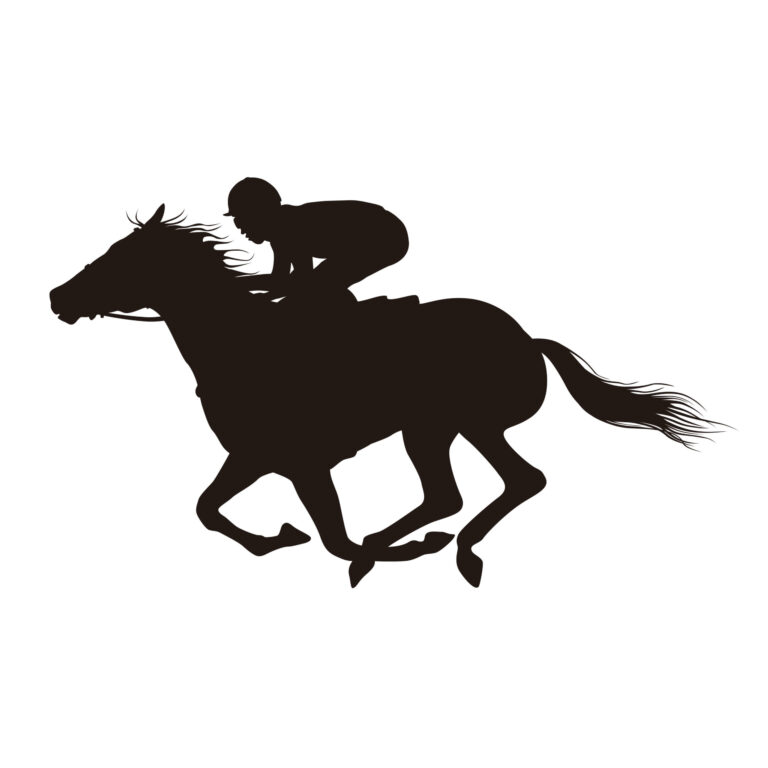 2024年8月17日（土）注目馬☆推薦馬＆参考買い目