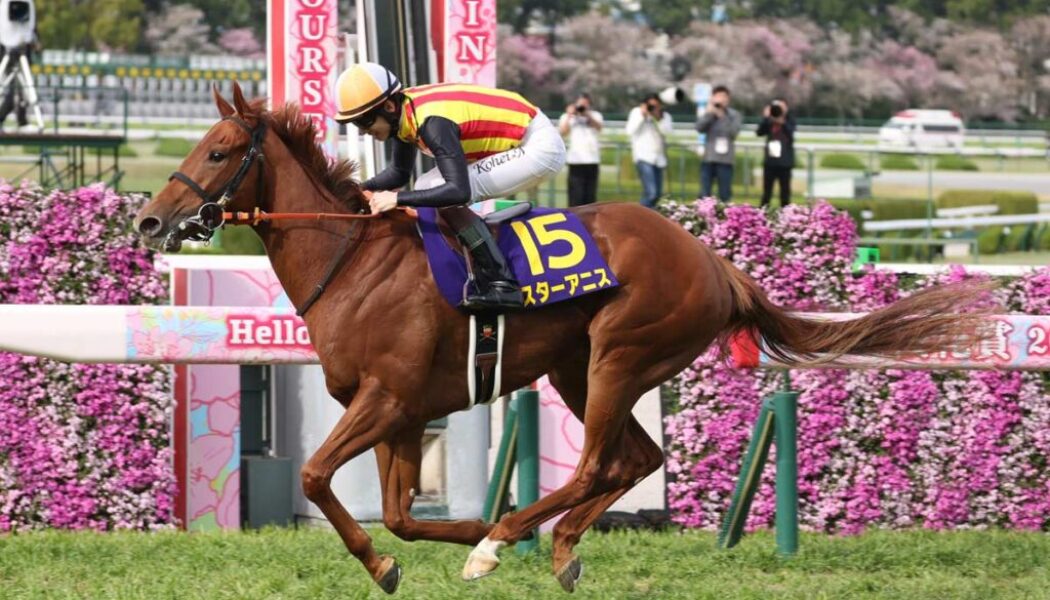 ジッピーチューンは捕らえた？【桜花賞】