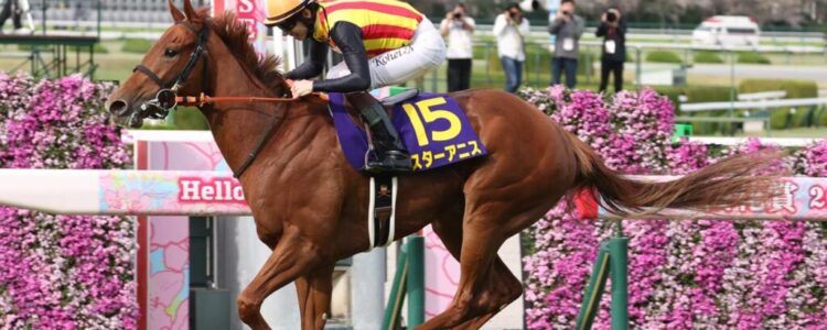 ジッピーチューンは捕らえた？【桜花賞】