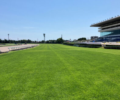 中山競馬