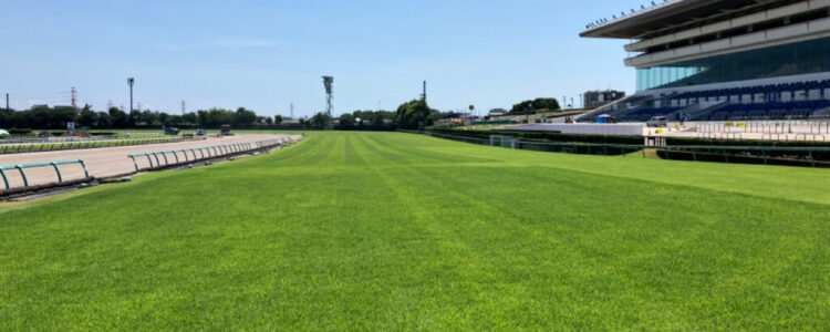 皐月賞/2026【総合指数表】