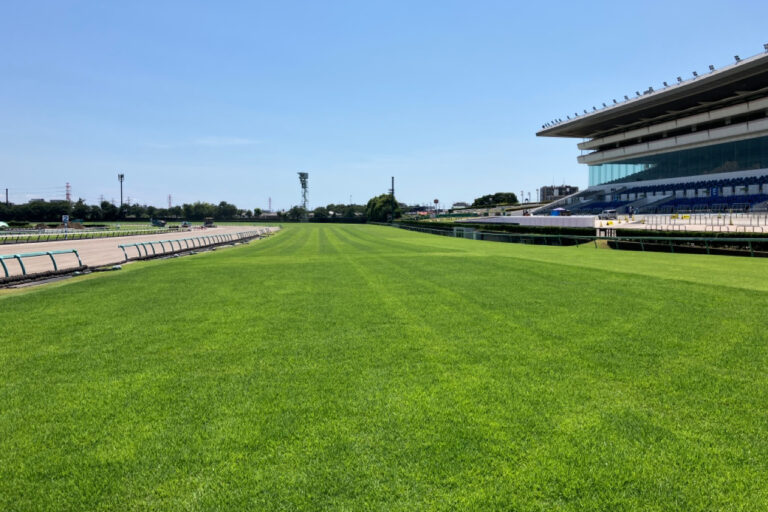 中山競馬