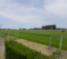 photo0000-4217-1