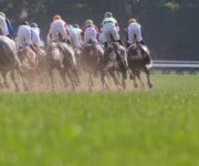 阪神大賞典