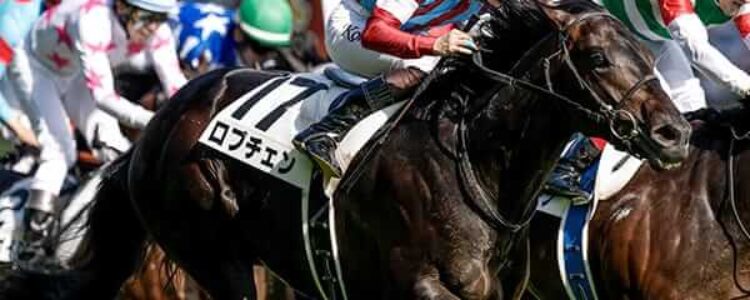 日本ダービーから得たもの【2026/5/31/東京競馬】