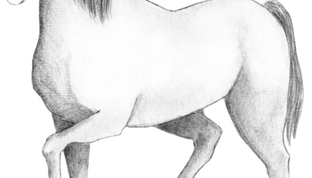 2150035-scaled
