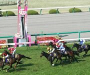阪神競馬場2