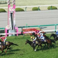 阪神競馬場2