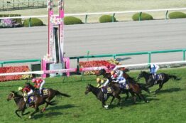 阪神競馬場2