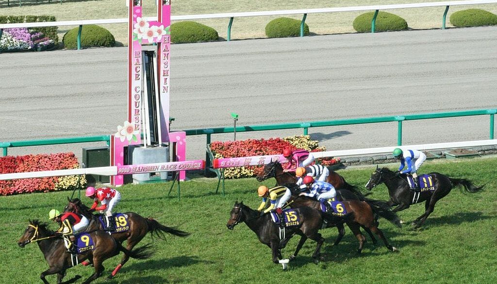 阪神競馬場