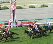 阪神競馬場