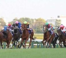 阪神競馬場2