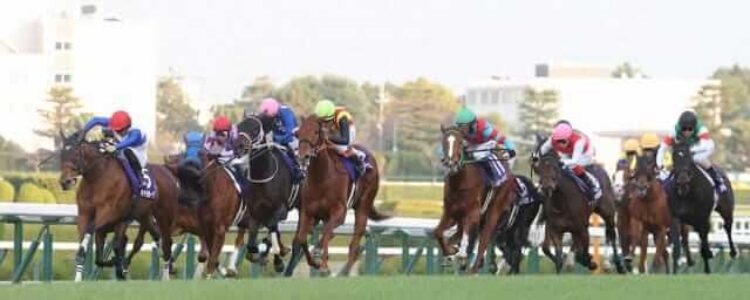 宝塚記念（GI)/2026【総合指数表＆参考買い目】