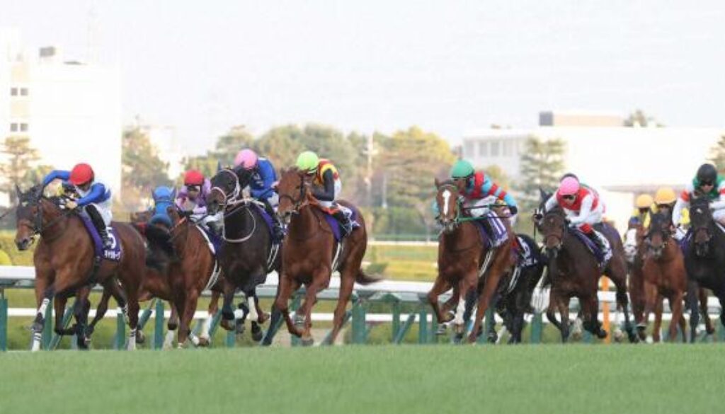 阪神競馬場