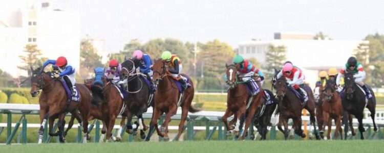 宝塚記念（GI)/2026【総合指数表＆参考買い目】
