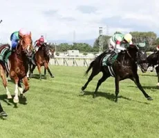 東京競馬