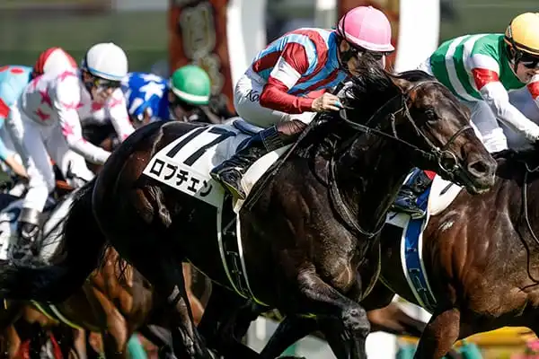 日本ダービーから得たもの【2026/5/31/東京競馬】