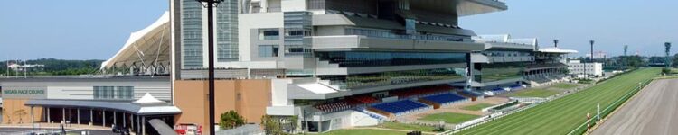 アイビスサマーダッシュ＆クイーンステークス【注目馬☆推薦馬】
