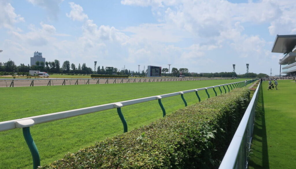 札幌競馬場