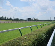 札幌競馬場